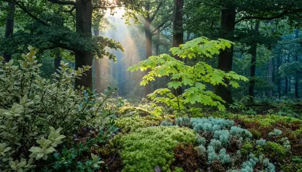 Forest scene generated by Qwen-Image-2.0 showing over 23 shades of green with distinct textures in foliage, moss, and leaves